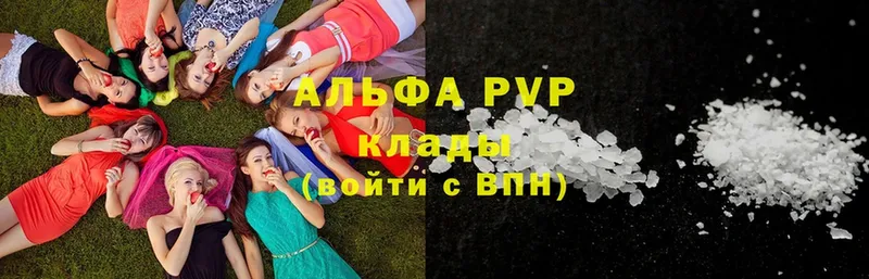 купить  сайты  Владивосток  A PVP СК КРИС 